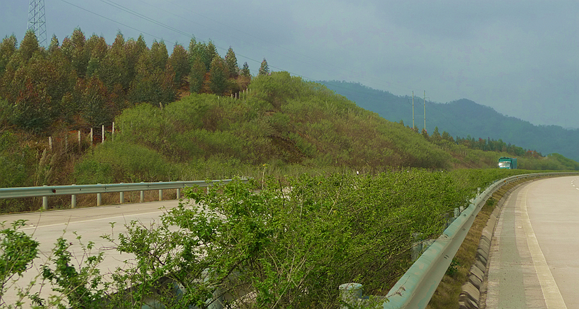 天汕高速公路边坡绿化防护工程