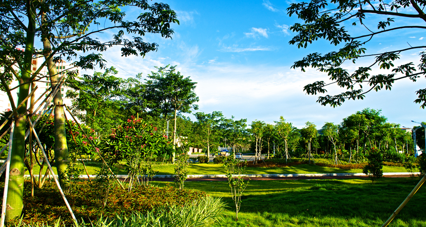 珠海·城市绿化景观提升工程