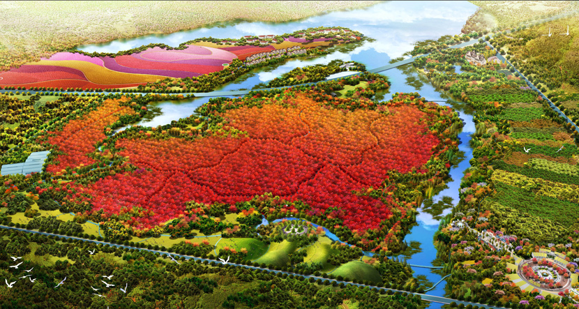 武汉·藏龙枫彩生态园旅游总体规划